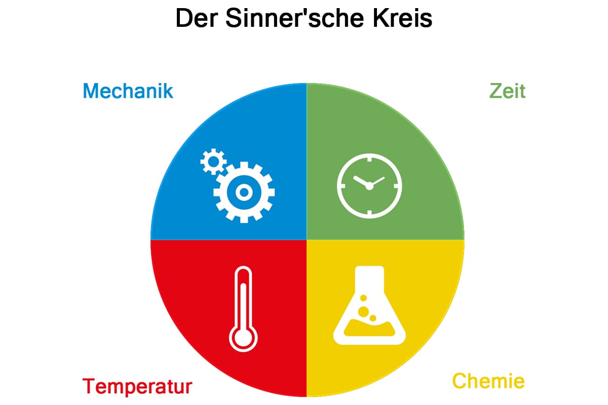 read evolutionsprozesse im tierreich